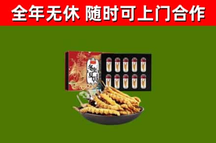 江都烟酒回收冬虫夏草礼盒.jpg